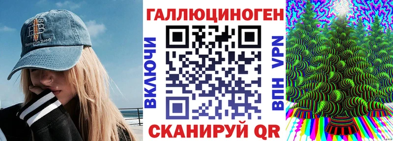 дарнет шоп  Ладушкин  Галлюциногенные грибы Psilocybine cubensis 